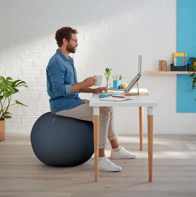 siege boule bureau avis