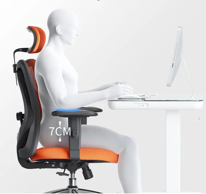 Chaise de Bureau Ergonomique Pas Chere