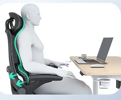 Coussin de soutien lombaire chaise bureau