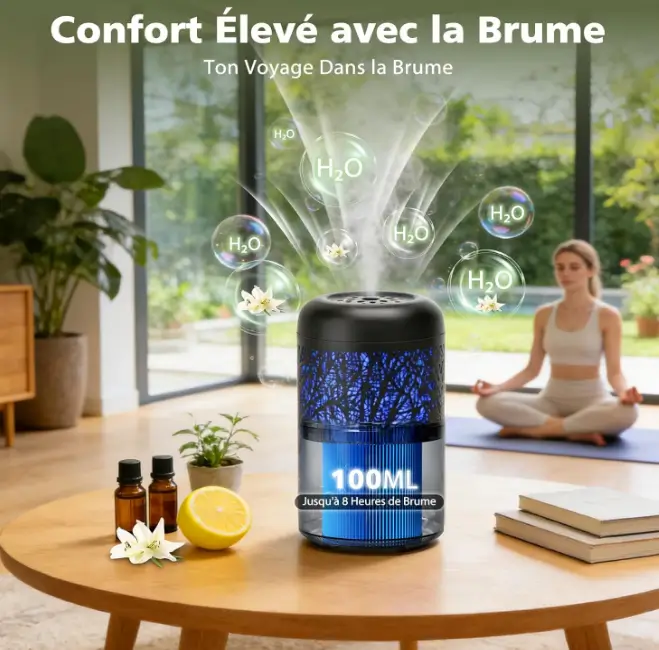 idee cadeau  Diffuseur Huiles Essentielles Ultrasonique Silencieux Arrêt Automatique