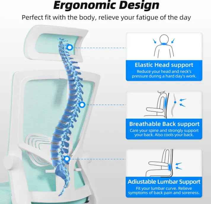 chaise de bureau darcomax design