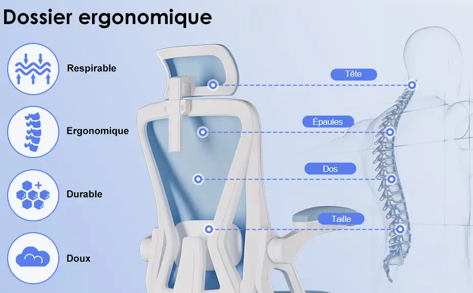 chaise ergonomique dossier ergonomique